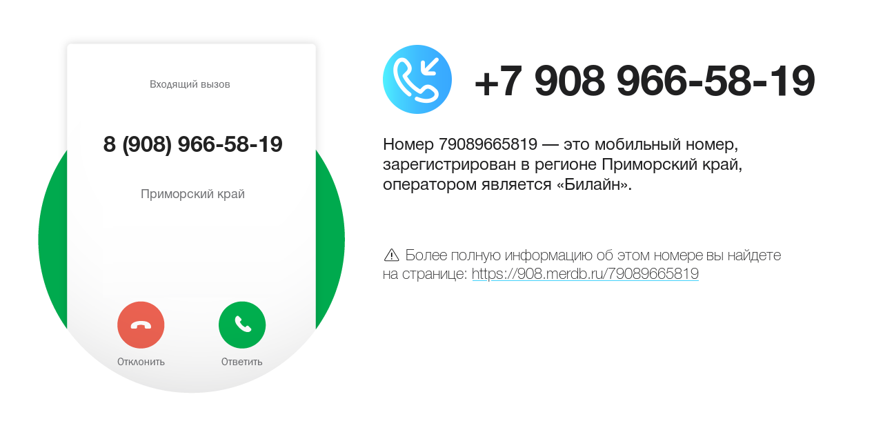 Номер телефона 8 (908) 966-58-19