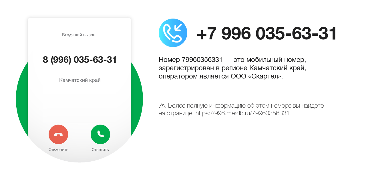 Номер телефона 8 (996) 035-63-31
